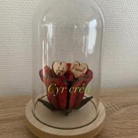 Thumbnail img 8831